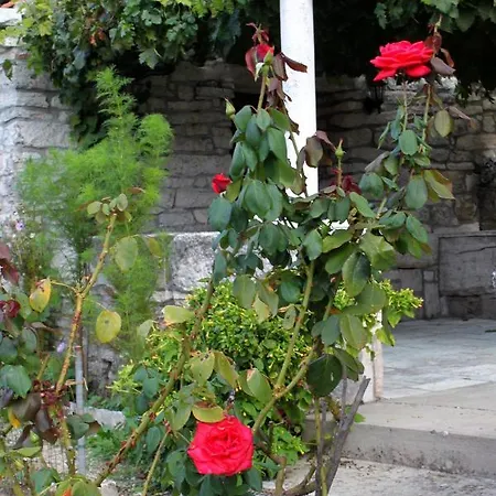 House With Wifi Zrnovo, Korcula - 4876 Zrnovo