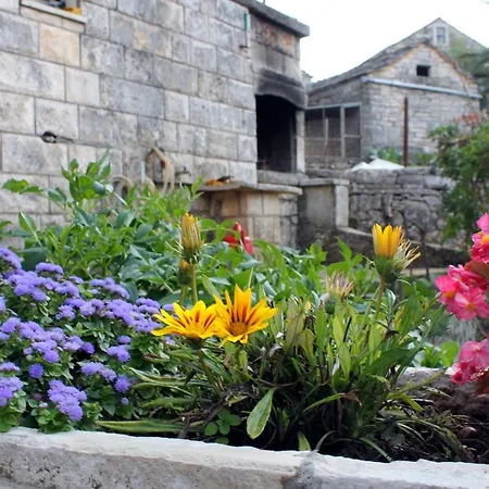 別荘 House With Wifi Zrnovo, Korcula - 4876 Žrnovo