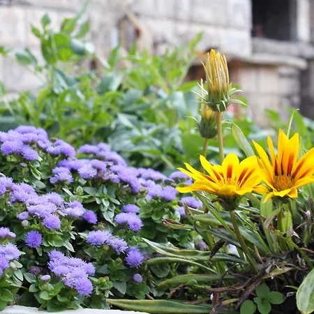 House With Wifi Zrnovo, Korcula - 4876 Zrnovo