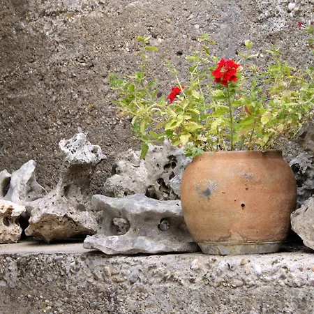 House With Wifi Zrnovo, Korcula - 4876 بيت للعطل Zrnovo