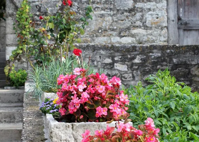 Hébergement de vacances House With Wifi Zrnovo, Korcula - 4876 Zrnovo