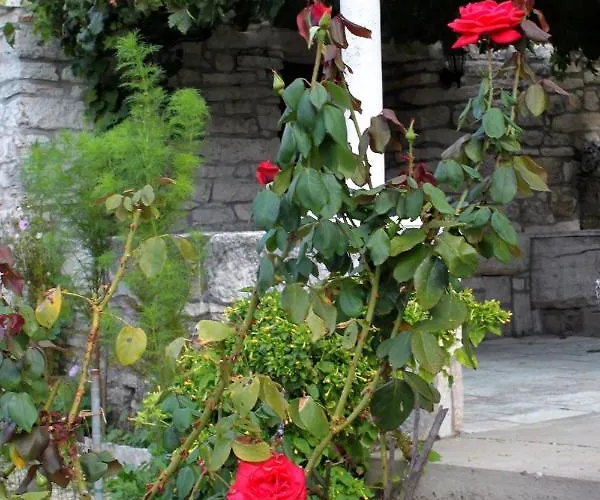 House With Wifi Zrnovo, Korcula - 4876 Žrnovo