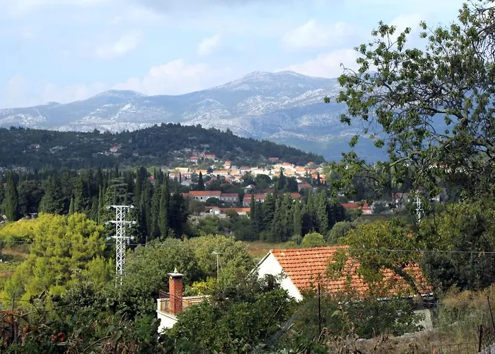 House With Wifi Zrnovo, Korcula - 4876 別荘 *