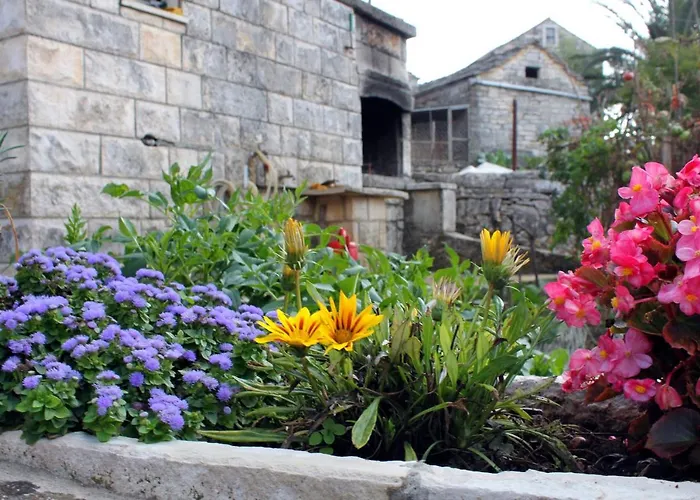 Nyaraló House With Wifi Zrnovo, Korcula - 4876 Žrnovo