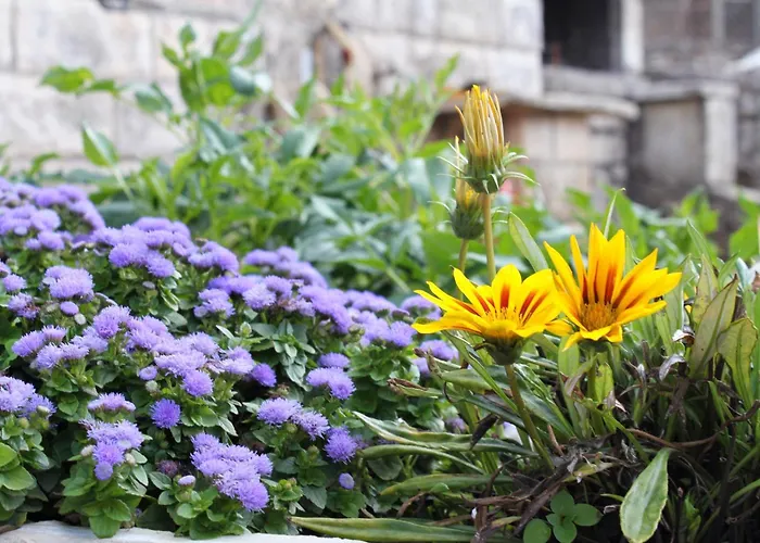 House With Wifi Zrnovo, Korcula - 4876 Žrnovo