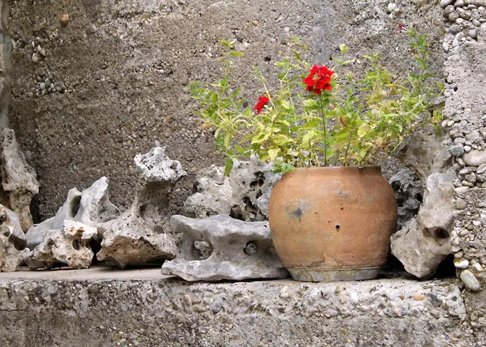 House With Wifi Zrnovo, Korcula - 4876 Nyaraló Žrnovo